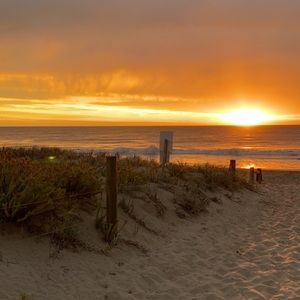 Meet your Posher, Ella